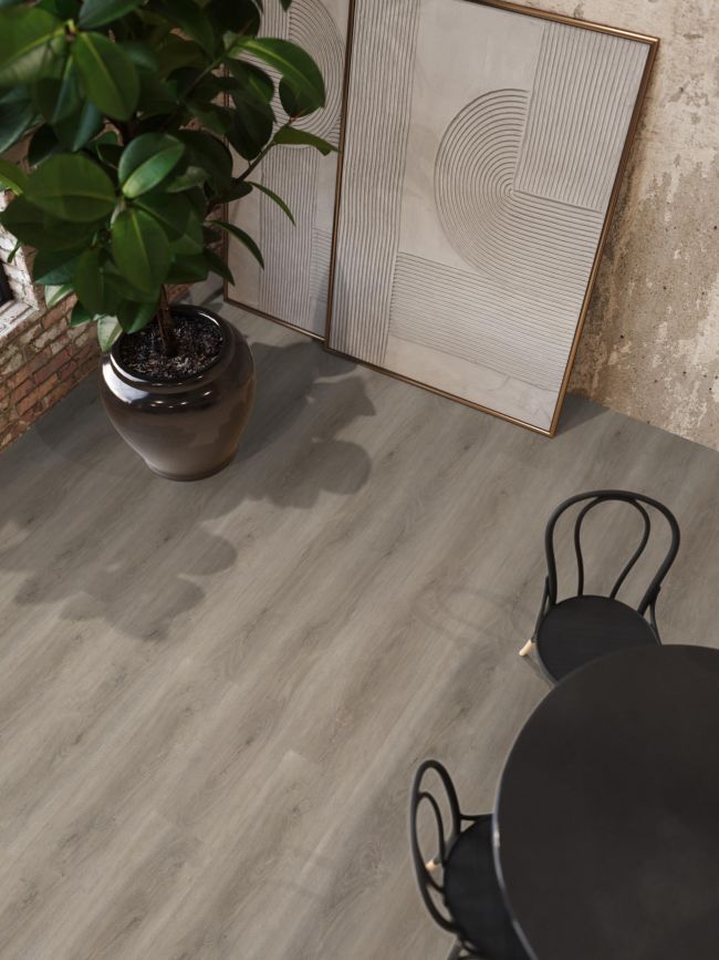 Parramatta dryback light grey