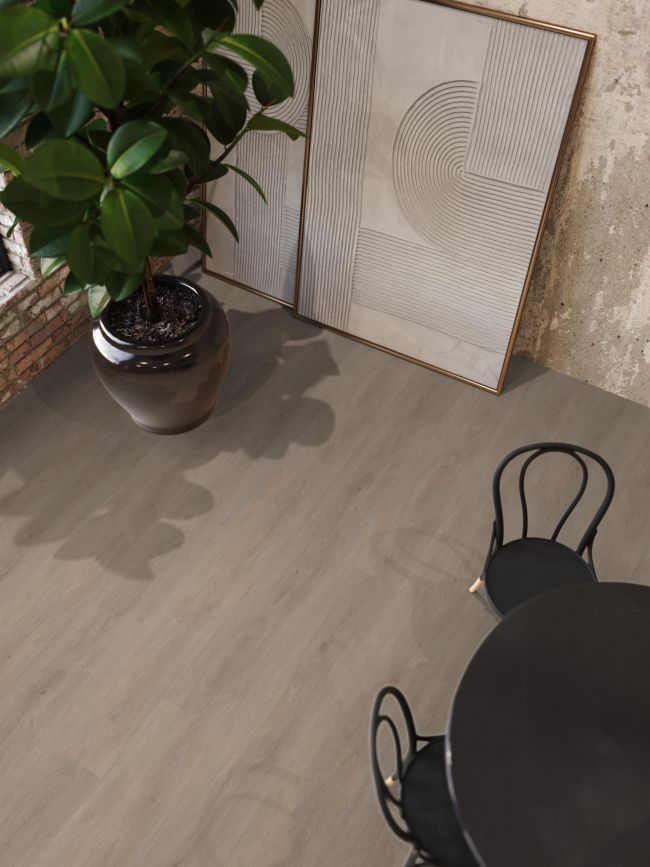 Parramatta dryback light oak
