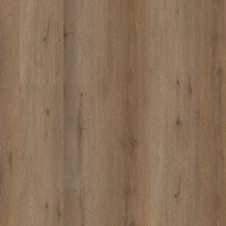 Leyton click SRC smoky