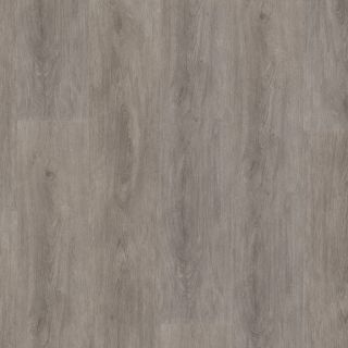 Parramatta dryback grey oak