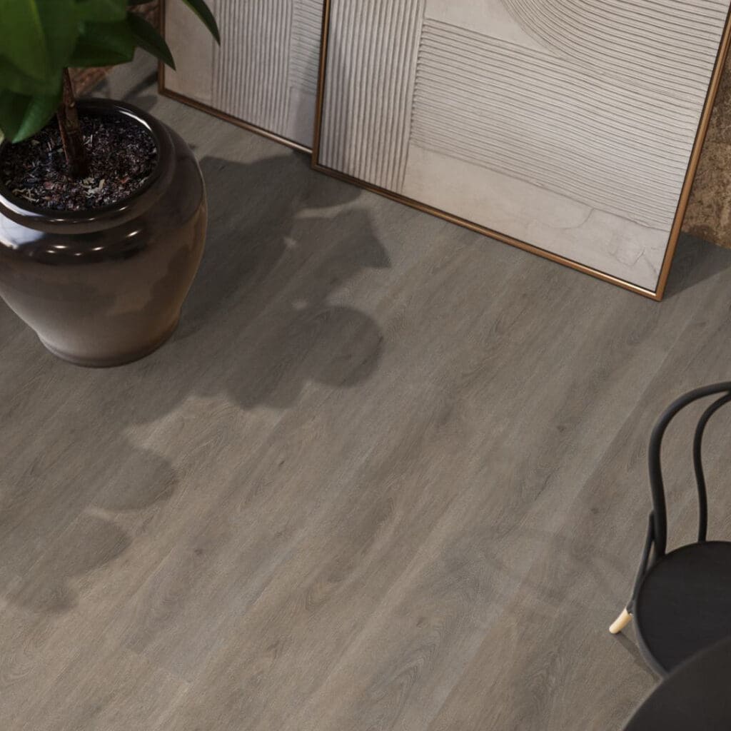 Parramatta dryback smoky