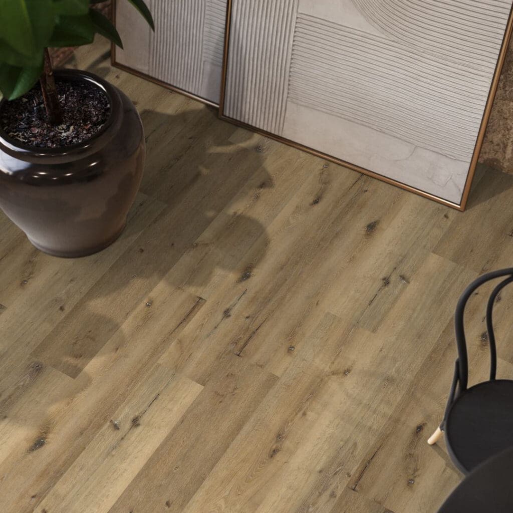 Sydney harbour dryback dark oak