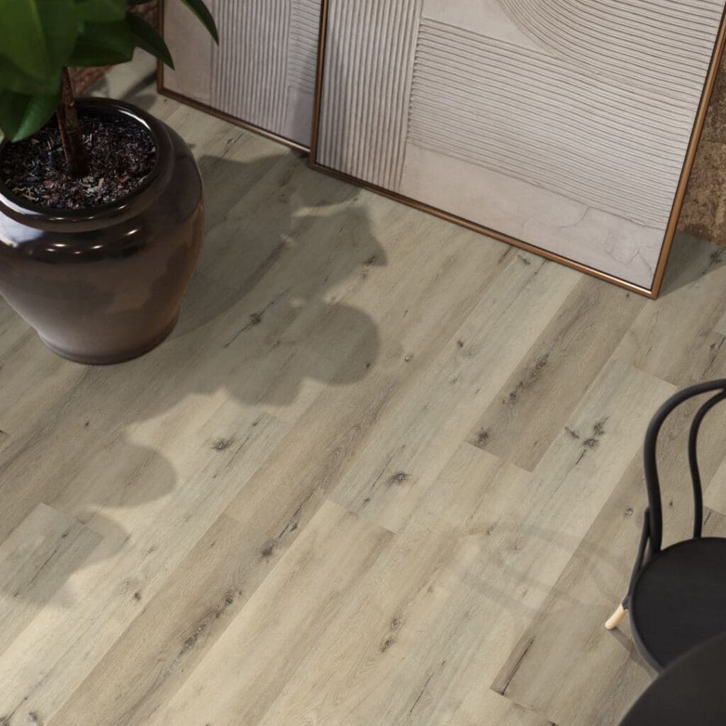 Sydney harbour dryback light oak