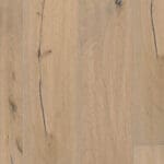 Sienna rustiek sea shell 1916