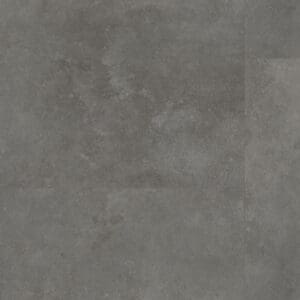 Victoria dryback grey