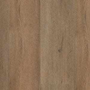 Leyton dryback smoky