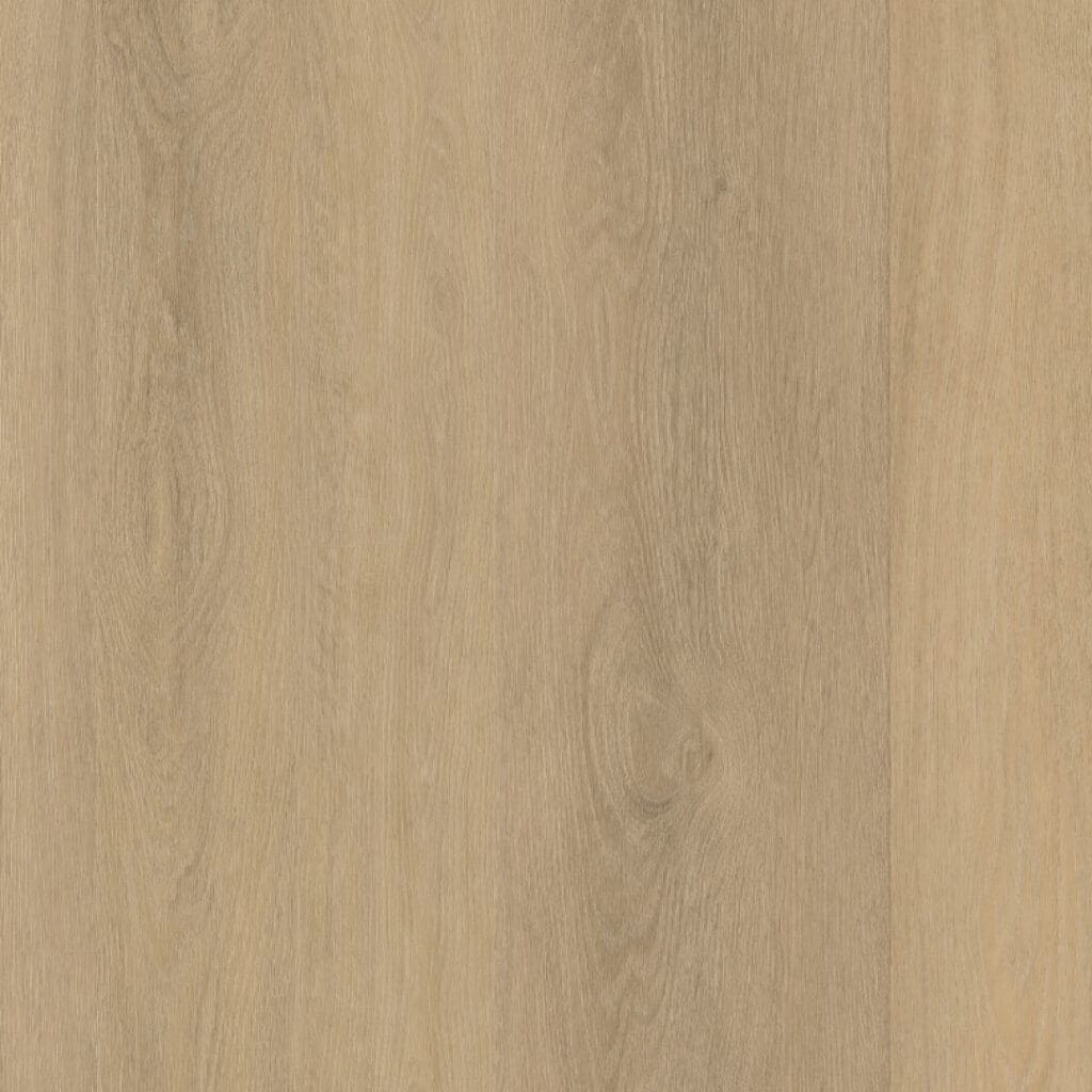 main_image_9040650419.jpg