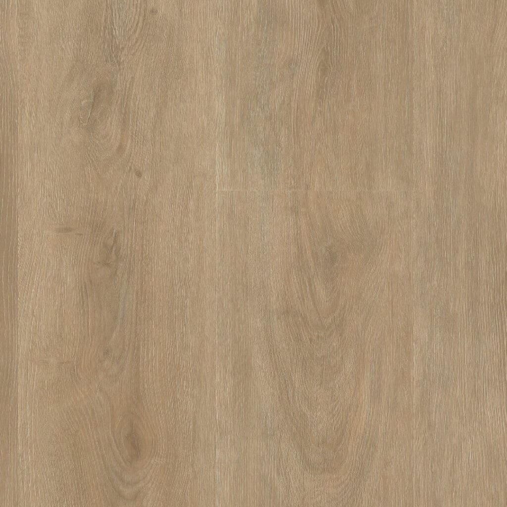 main_image_9085153119.jpg