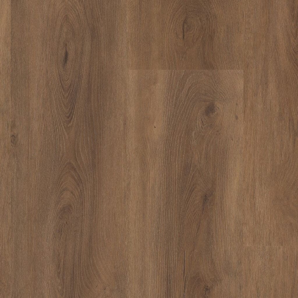 Parramatta dryback warm brown