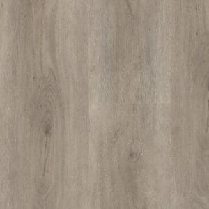 Parramatta dryback light grey