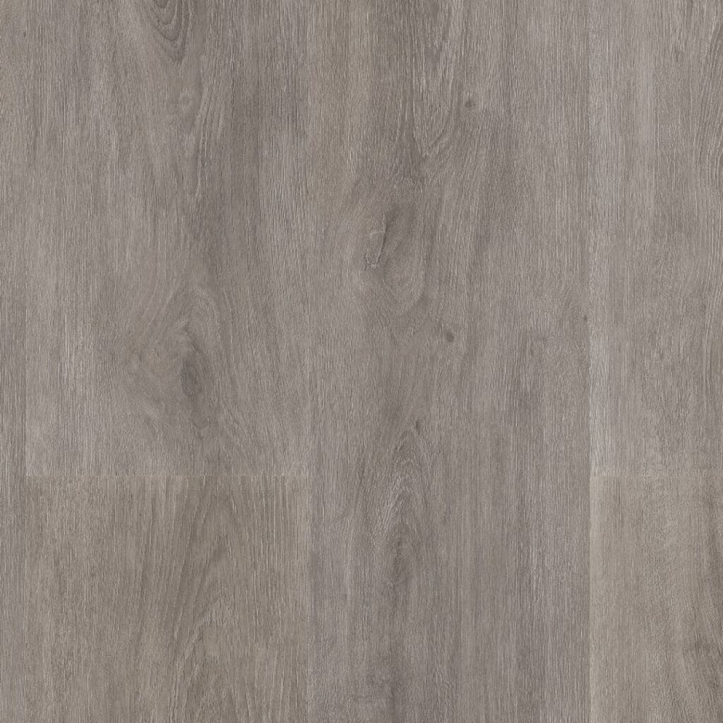 Parramatta dryback grey oak
