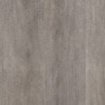 Parramatta dryback grey oak