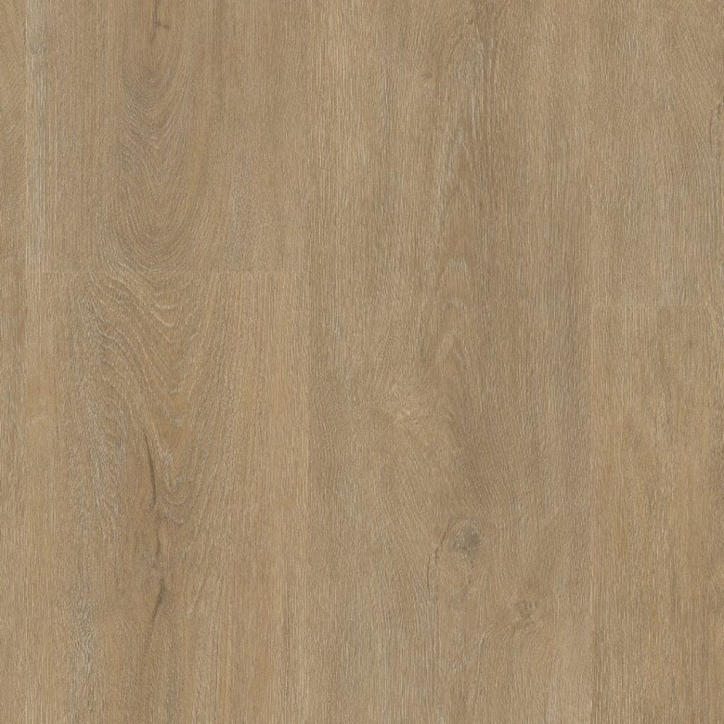 main_image_9085155519.jpg