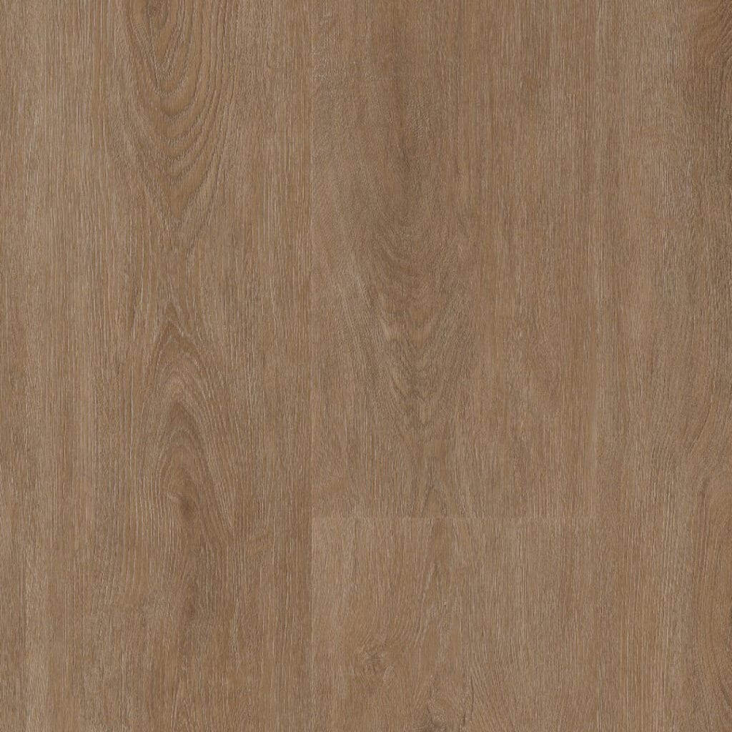 Parramatta dryback dark oak