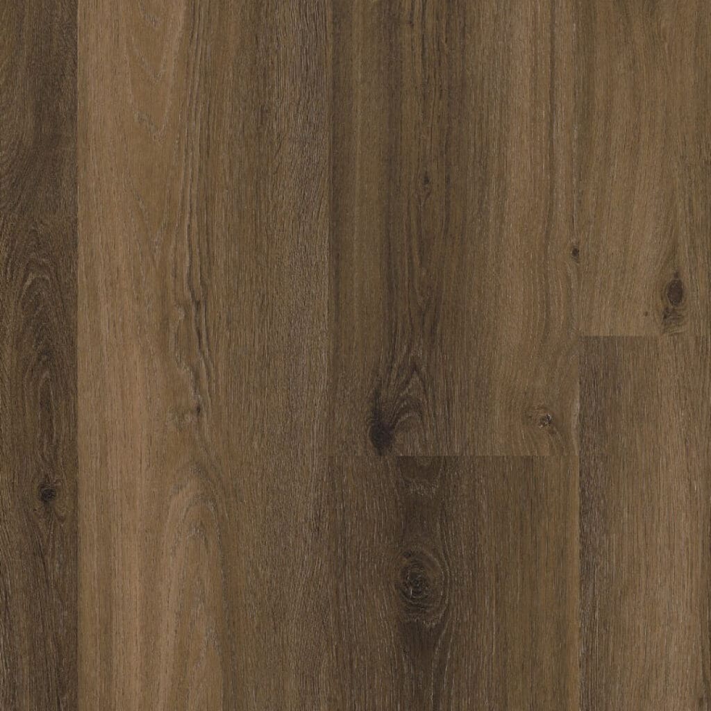 Paddington dryback warm brown