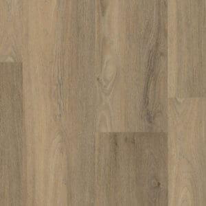 Paddington dryback smoky