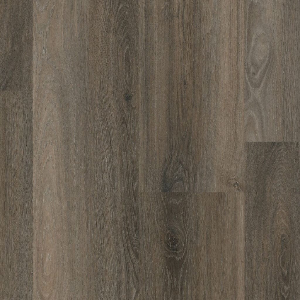 Paddington dryback dark grey