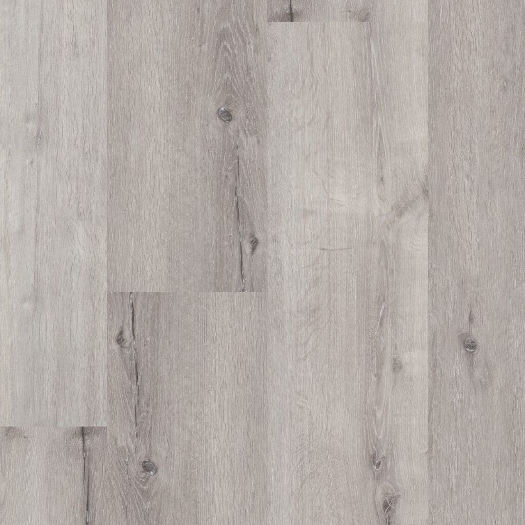 Sydney harbour dryback light grey