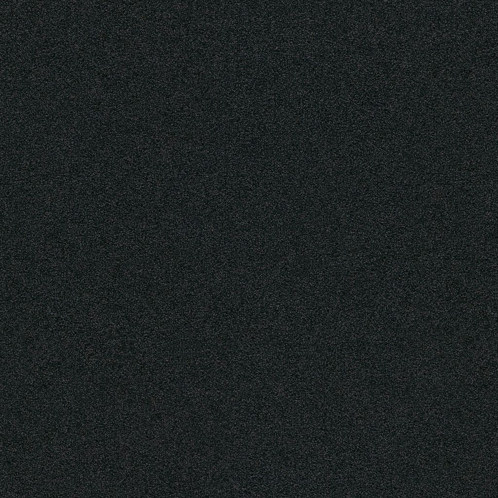 Entrance carbon 0246 | 200cm - incl. 2x2,5cm stootrand