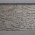 Co-pro plakplint meckenbach eik 9951