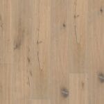 Sienna rustiek sea shell 1916