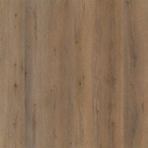 Leyton dryback smoky