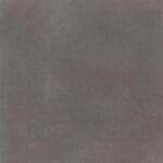 Peckham dryback grey