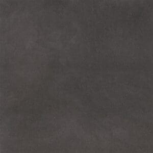 Peckham dryback anthracite