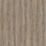 Parramatta click SRC smoky