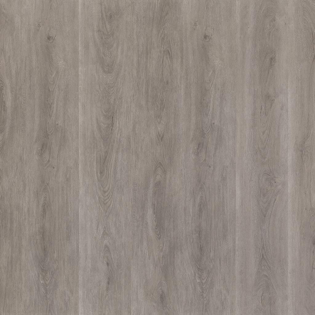 Parramatta dryback grey oak
