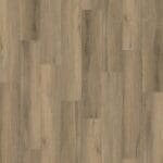 Paddington dryback smoky