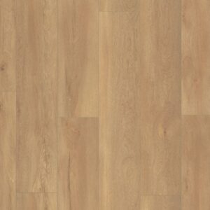 Union Square honing eiken