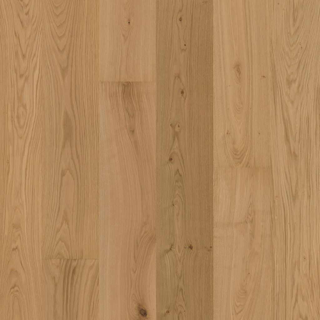 5053400219_main_image.jpg