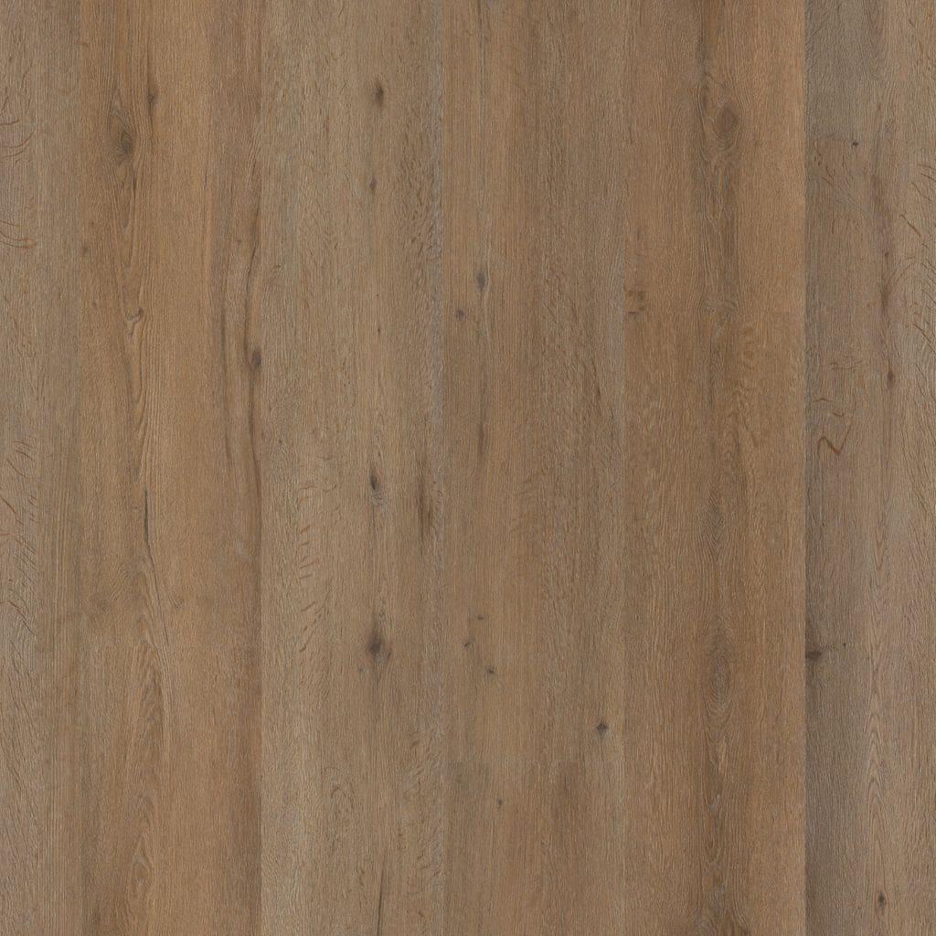 Leyton dryback smoky