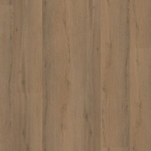 Barnet dryback dark oak
