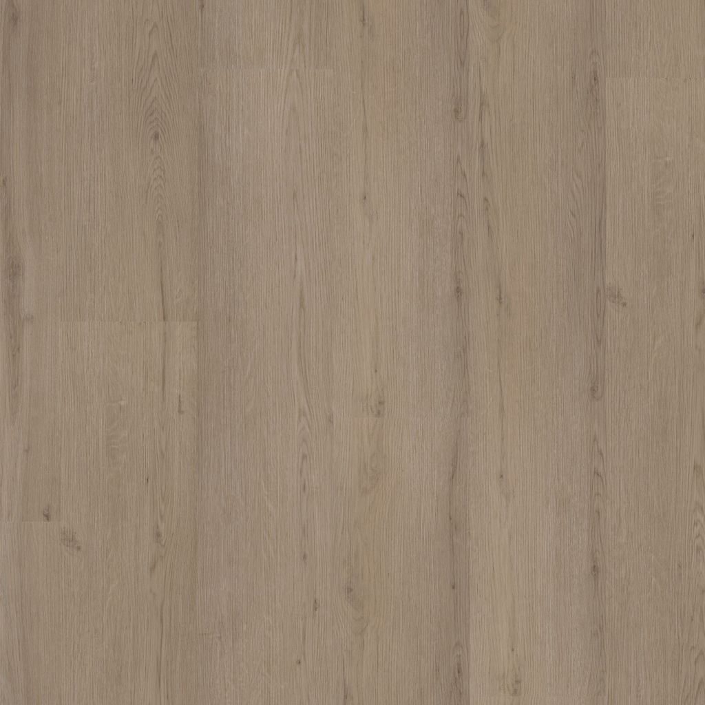 6312861019_main_image.jpg