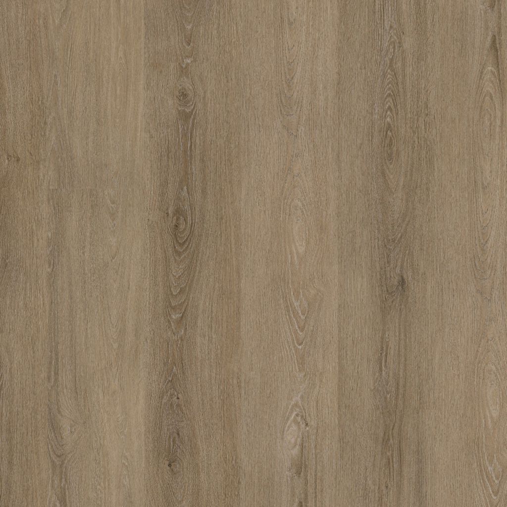 Sutton dryback smoky