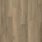 Paddington dryback smoky