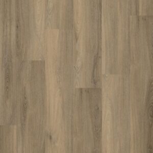 Paddington dryback smoky