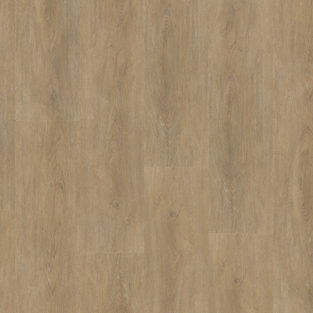 6155255519_main_image-1.jpg