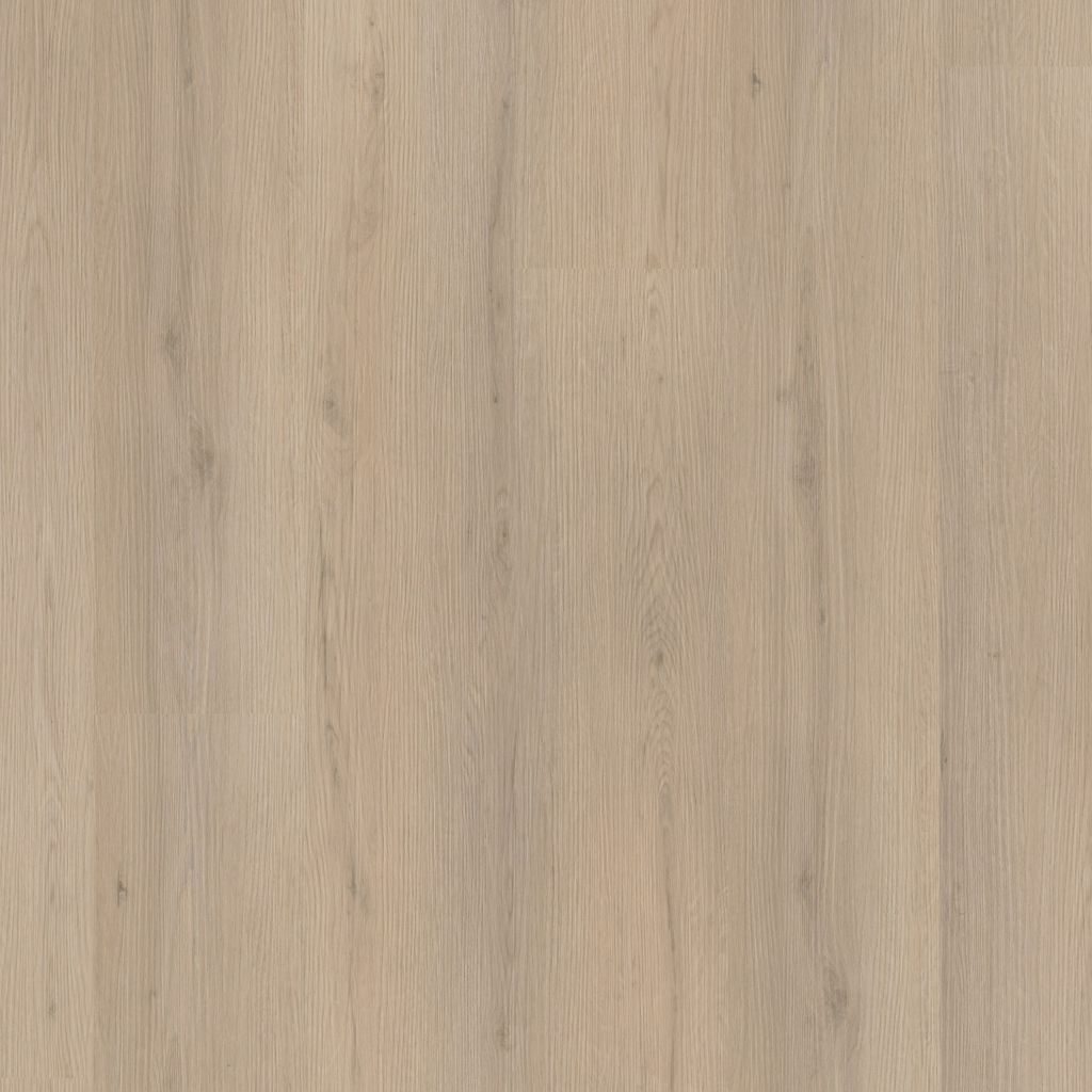 6312861219_main_image.jpg