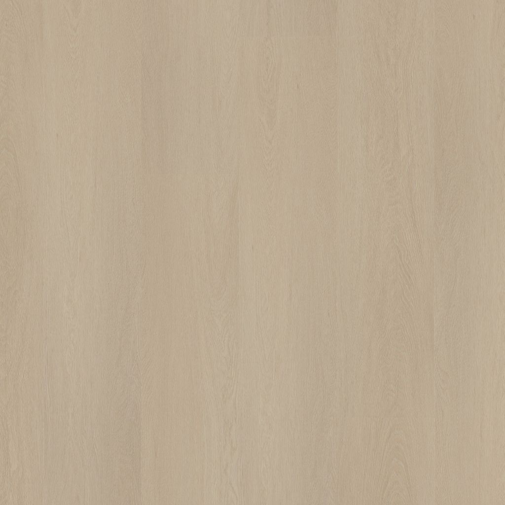 6511161319_main_image.jpg