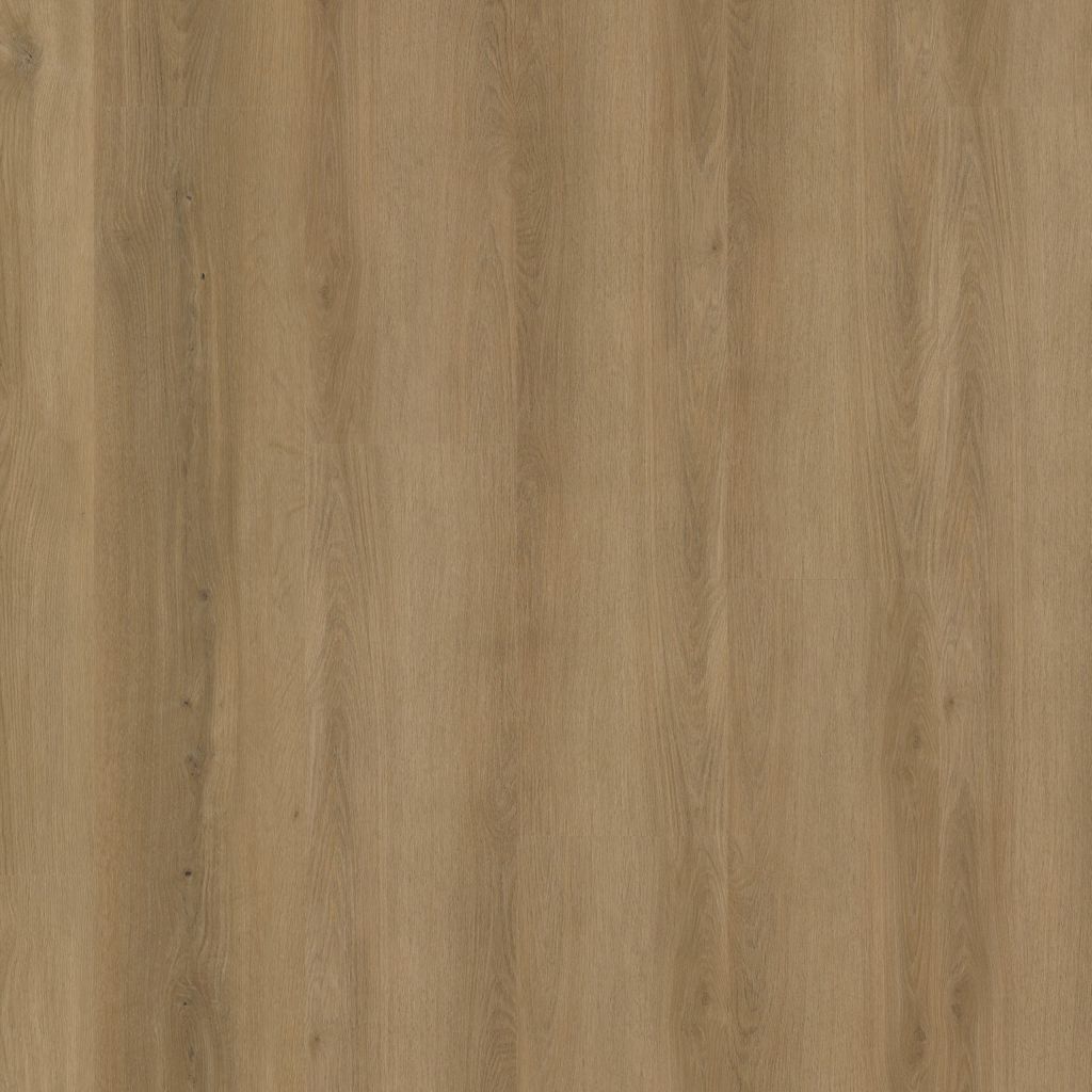 6620191219_main_image.jpg