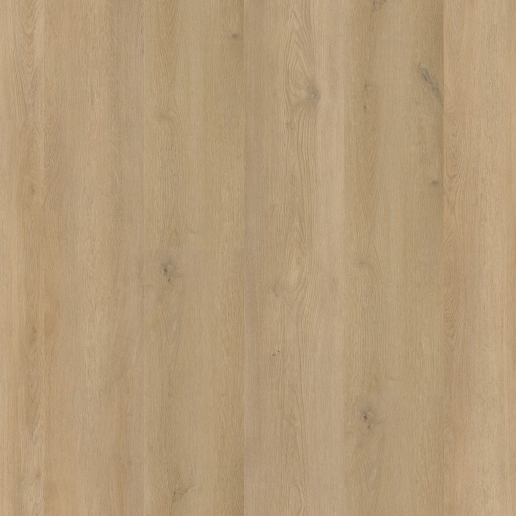 6620191019_main_image.jpg