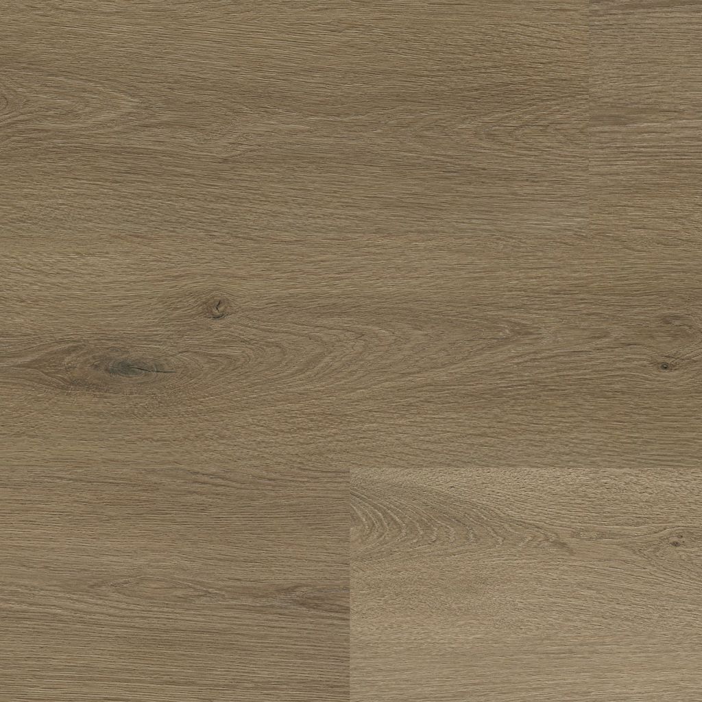 Mayfair dryback smoky