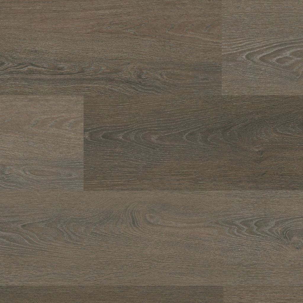 Sutton dryback brown