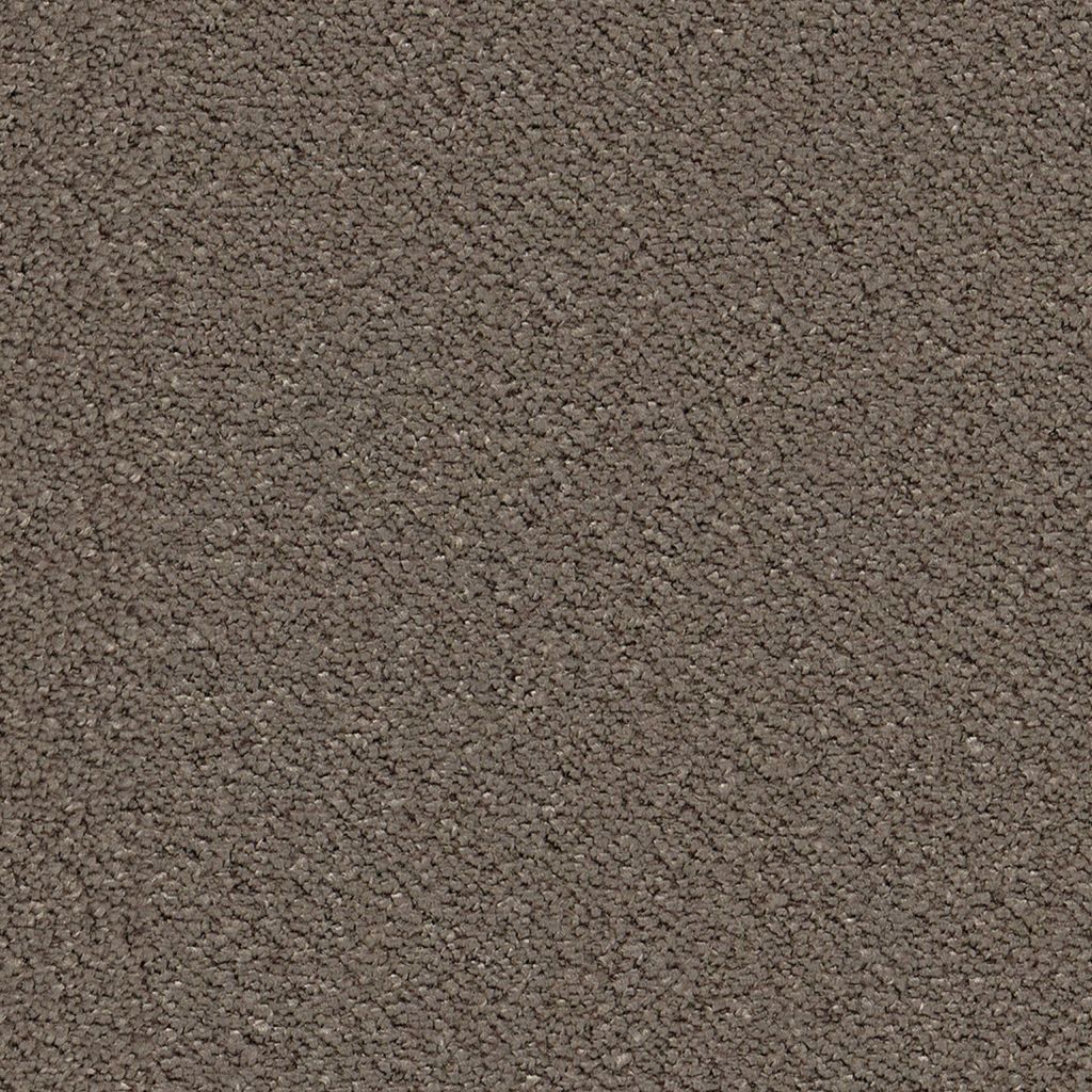 Lodi bruin 0600