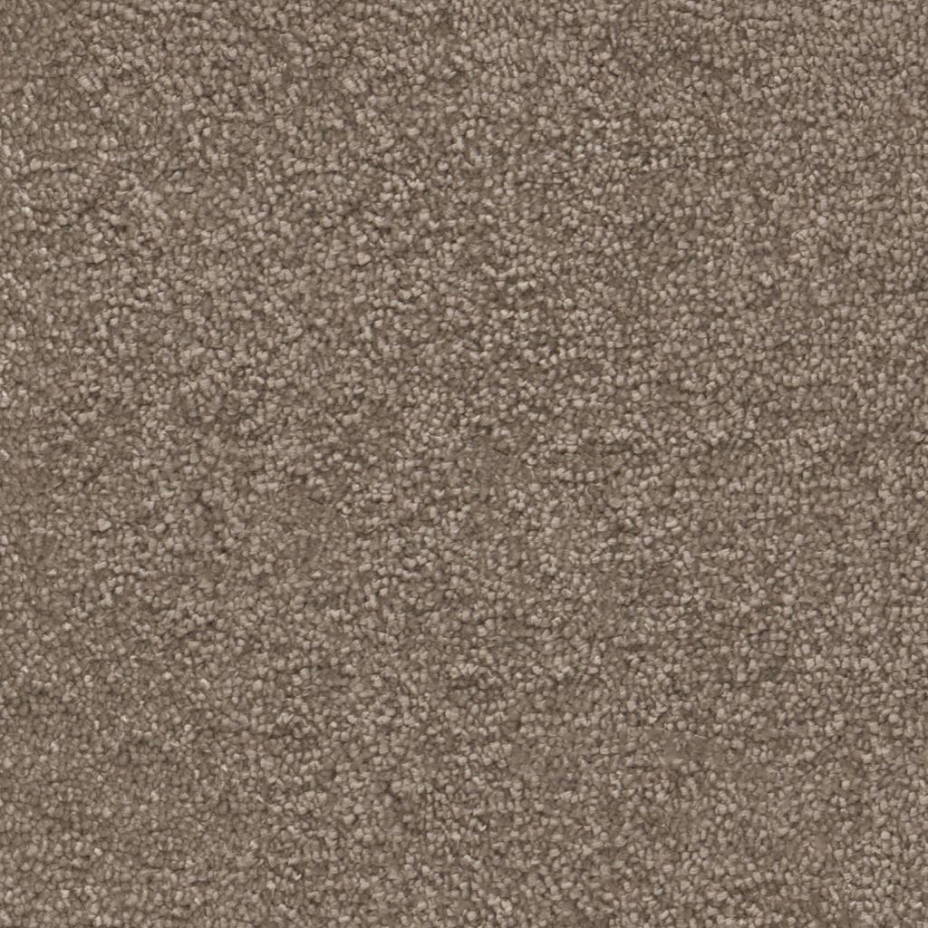 Maryland taupe 0535
