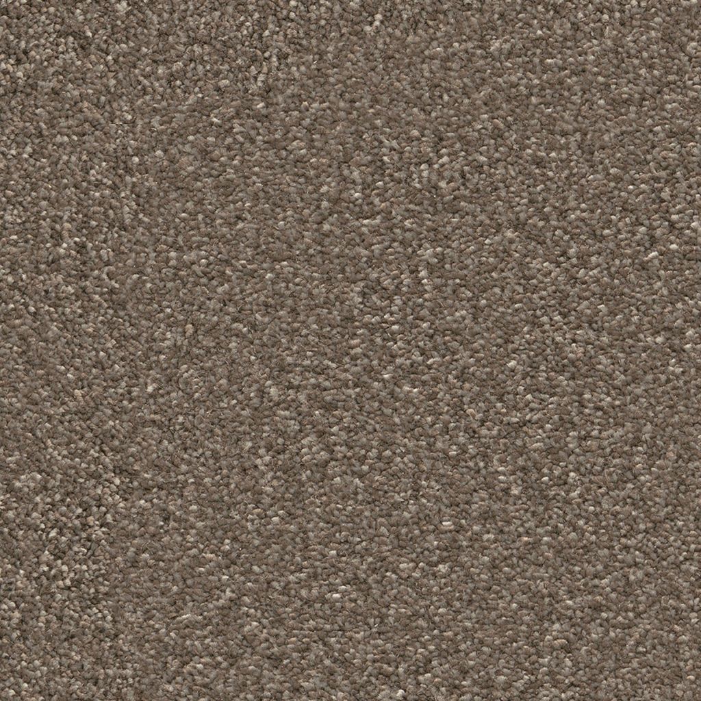 Maryland twist bruin 0600