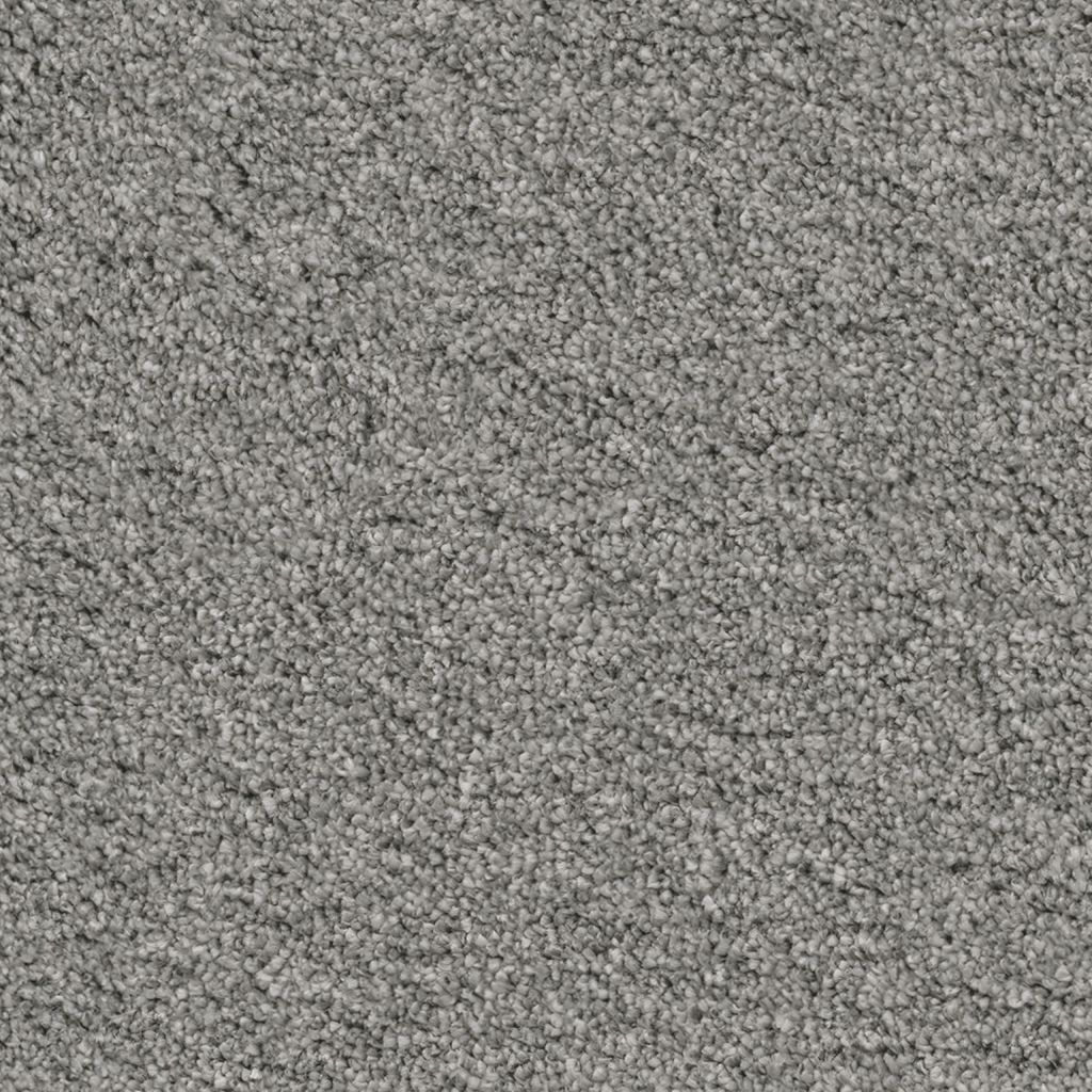 Baltimore zilver 0175